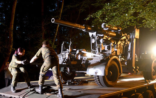 weapons removed from german basement