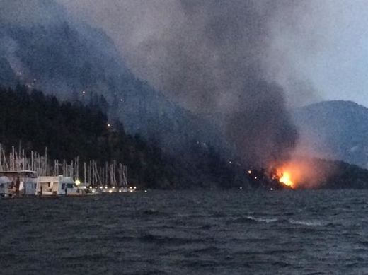 wildfire cape horn idaho
