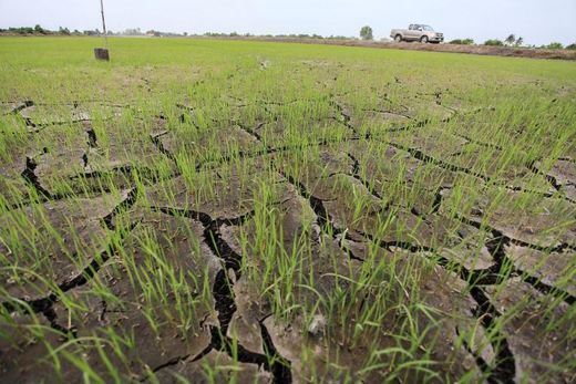 bangkok drought