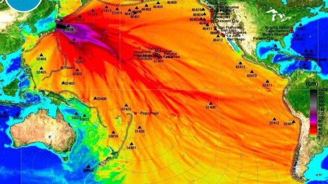 fukushima radiation