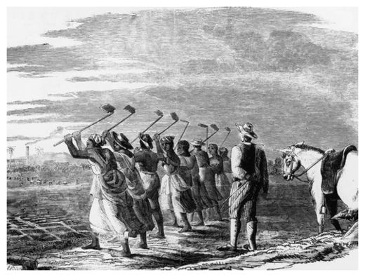 Click to enlarge Slaves