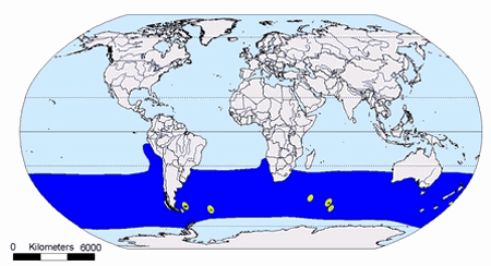 Distribution map for Black-browed Albatross
