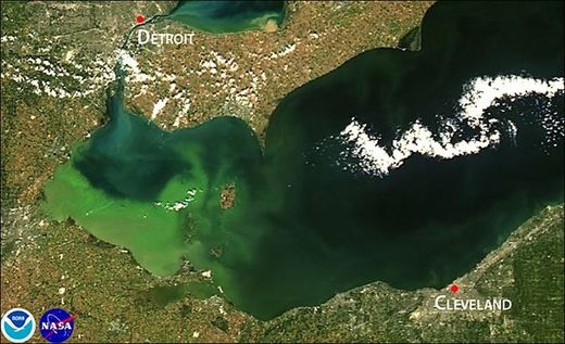 Click to enlarge algal bloom lake erie