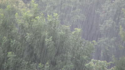 rainfall