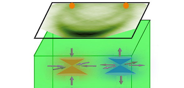 Wehl fermion