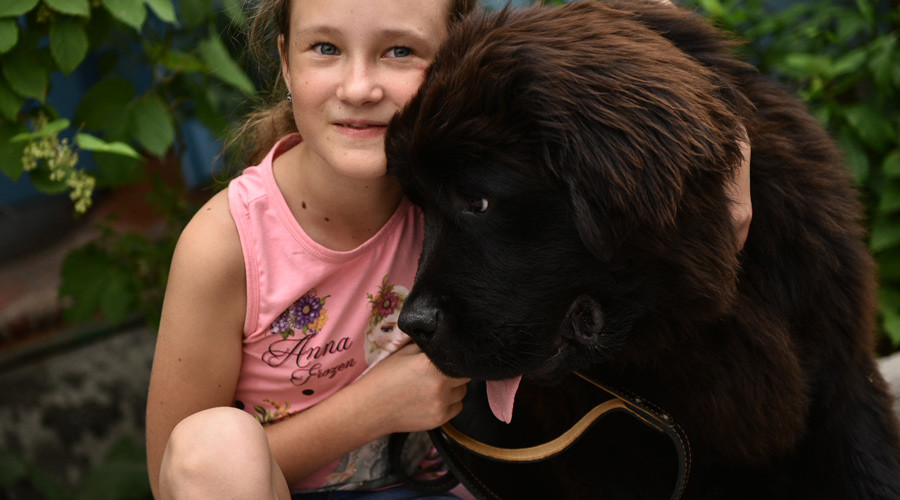 newfoundland