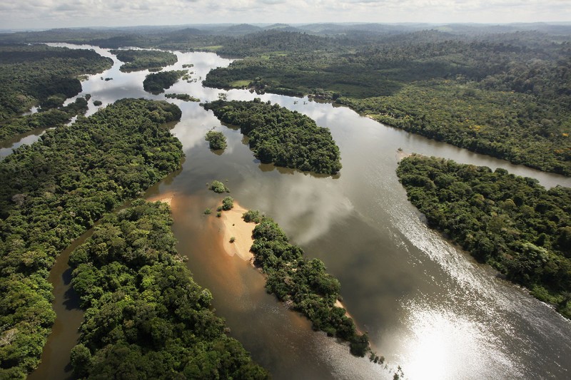 Click to enlarge amazon rainforest