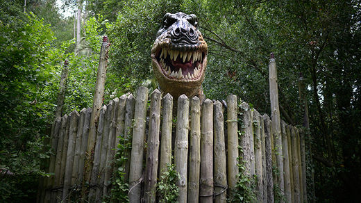 Click to enlarge Tyrannosaurus Rex