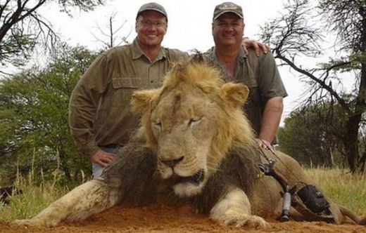 cecil the lion