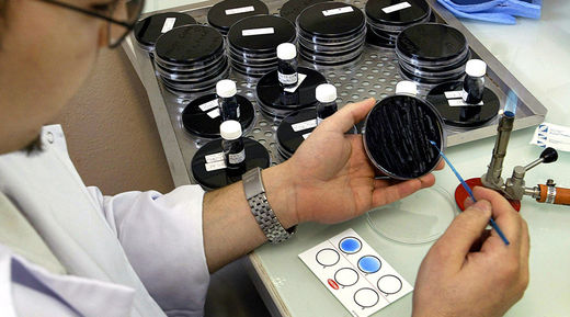 legionnaires outbreak