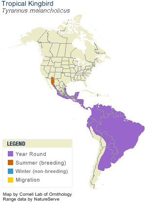 map range
