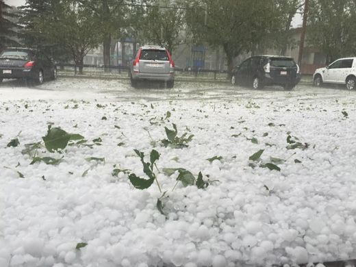 Hail Storm Calgary 3