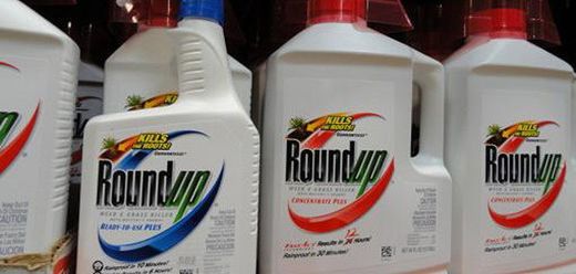 monsanto, roundup