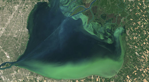 Click to enlarge algae bloom