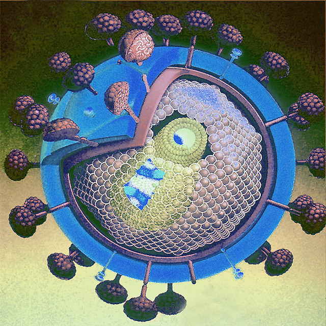 HIV virus