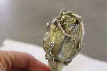 Click to enlarge life casting