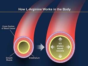 Click to enlarge l-arginine