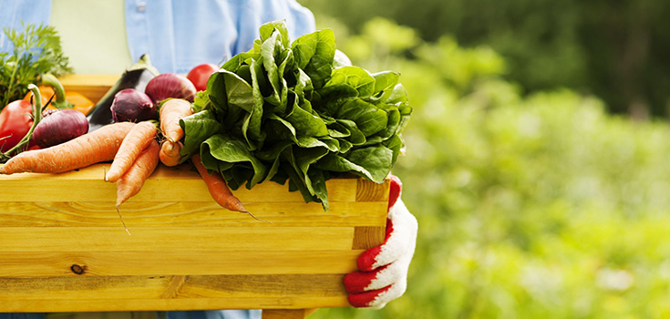 vegetables