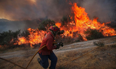 wildfire in portugal