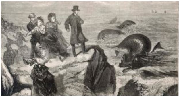 Sea Monster