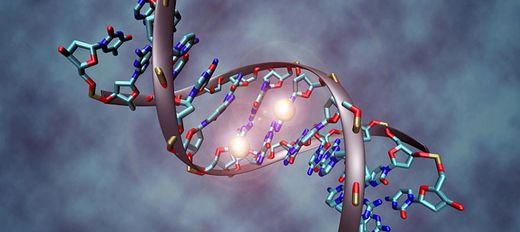 DNA