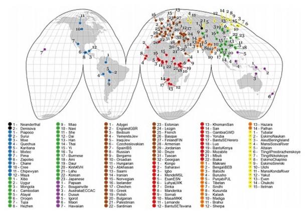 Click to enlarge genomes world populations