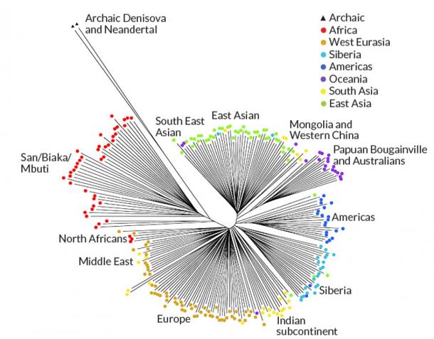 Click to enlarge Common relationships DNA deletions