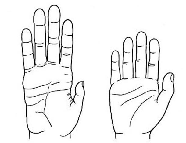 Click to enlarge human and chimpanzee hand