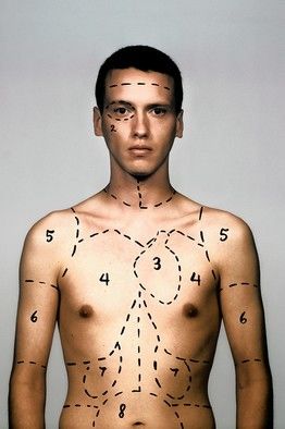 Click to enlarge organ donor
