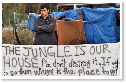 the jungle