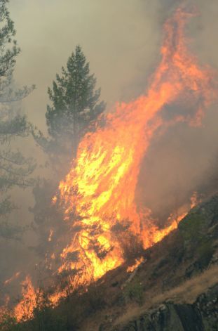 Clearwater wildfire idaho
