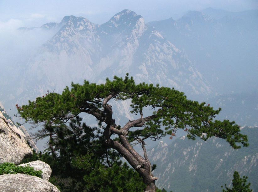 Qinling Mountains