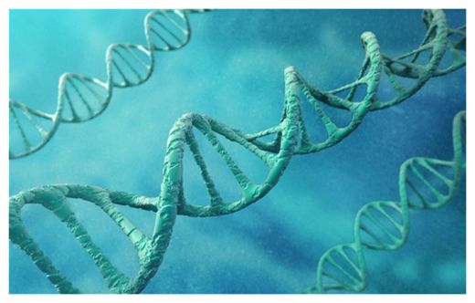 Click to enlarge DNA
