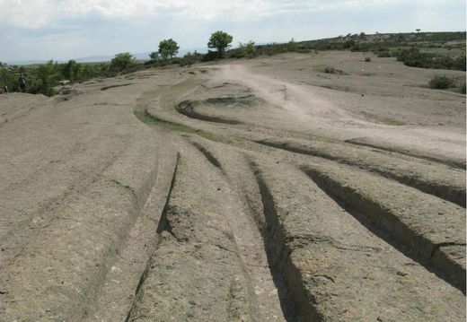 tracks