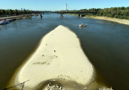 drought poland, vistula river