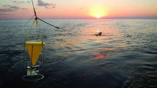 sediment samples Fukushima Nuclear Plant