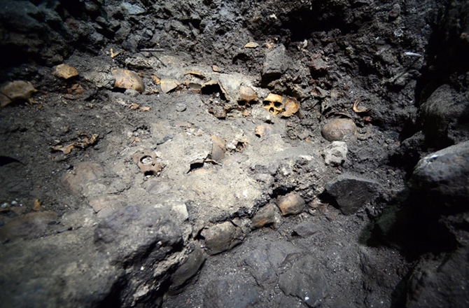 Ancient Skulls