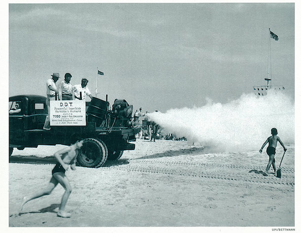 Click to enlarge Image
