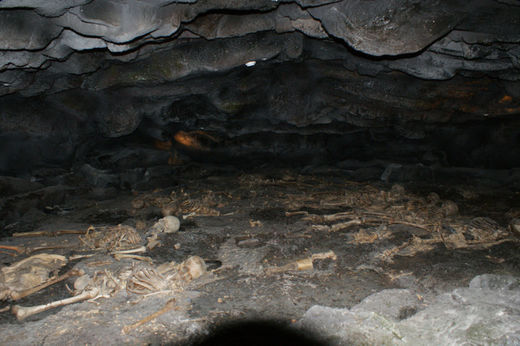 Click to enlarge Image