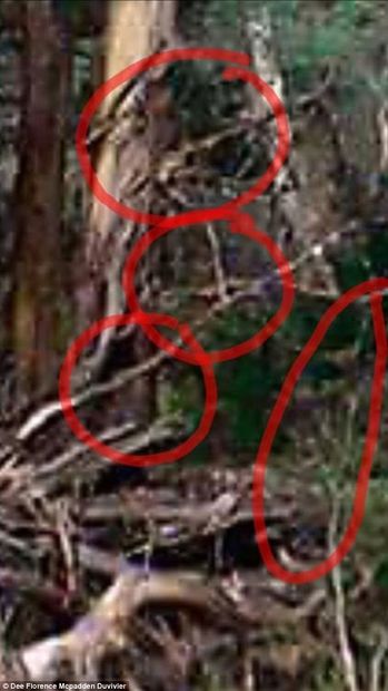 Click to enlarge toowoomba ghost