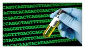 DNA