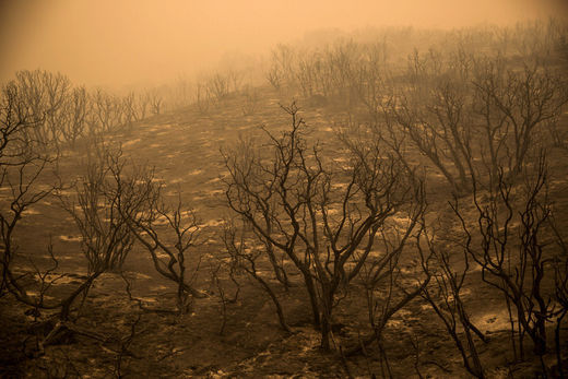parched earth