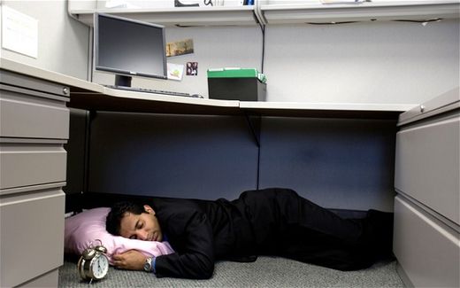 power nap, midday nap