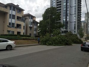 BC storm 2