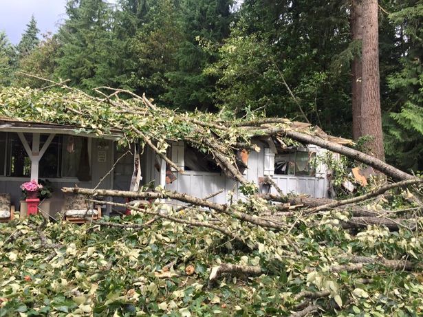 Click to enlarge windstorm washington state