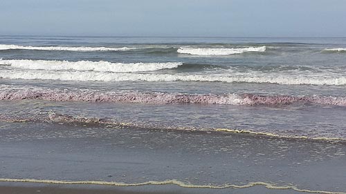 Click to enlarge Oregon Purple waves 2