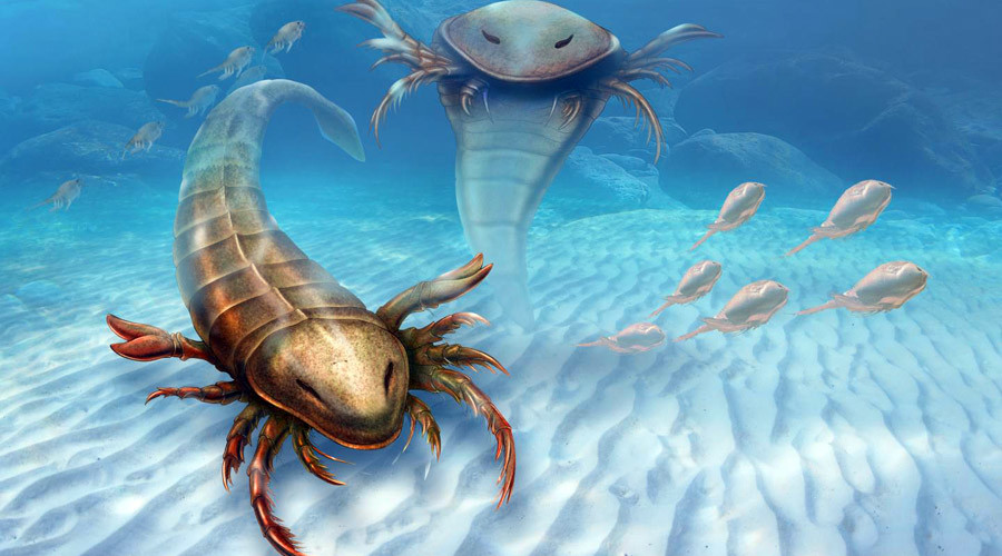 Sea scorpion