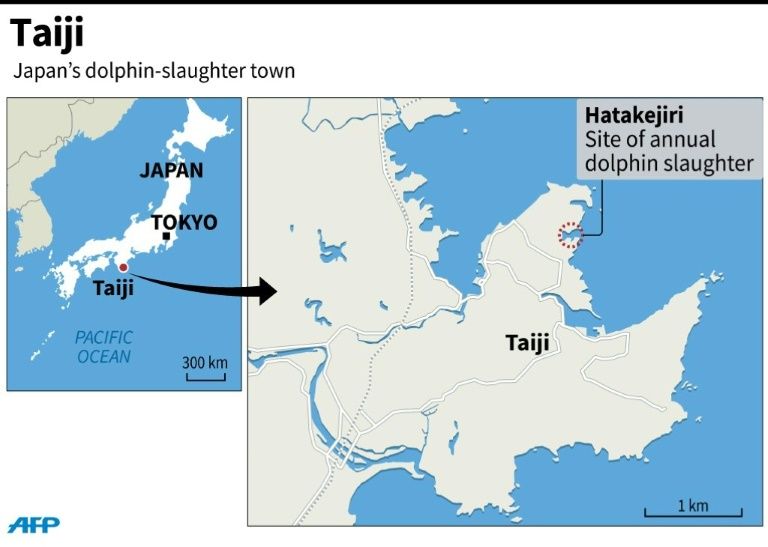 Click to enlarge Taiji
