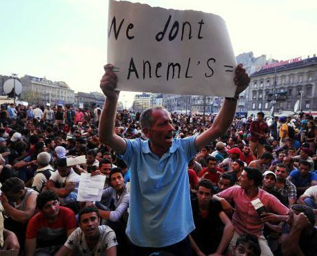 Click to enlarge syrian migrants