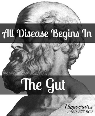 Click to enlarge Hippocrates All disease begins in the gut